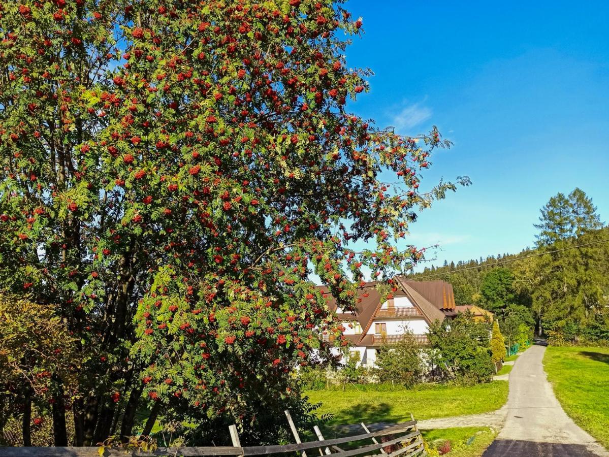 Pokoje Goscinne Duda Bialka Tatrzanska Exterior foto